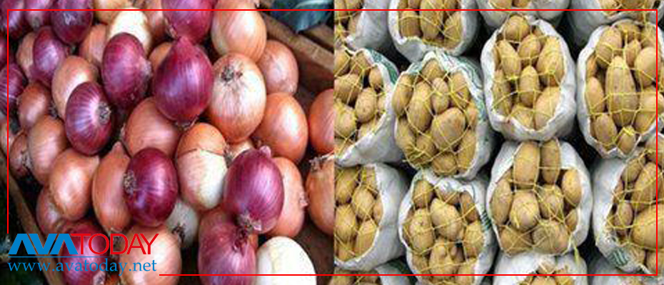 Iran banns onion, potato exports to control price