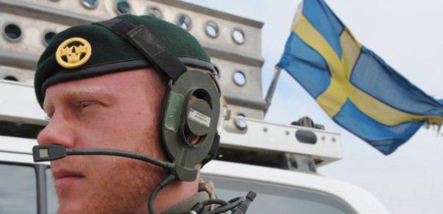 Irak'ta gerilim: İsveç de Irak’taki askeri eğitimlerini durdurdu