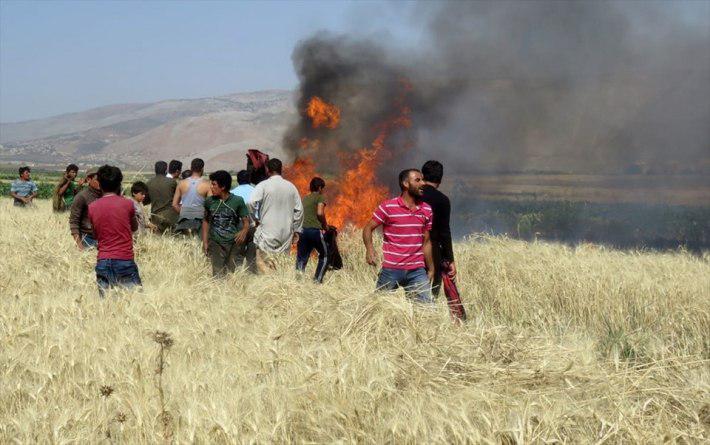 Haşdi Şabi hakimiyetindeki bölgelerde Kürtlere ait ekinler ateşe veriliyor
