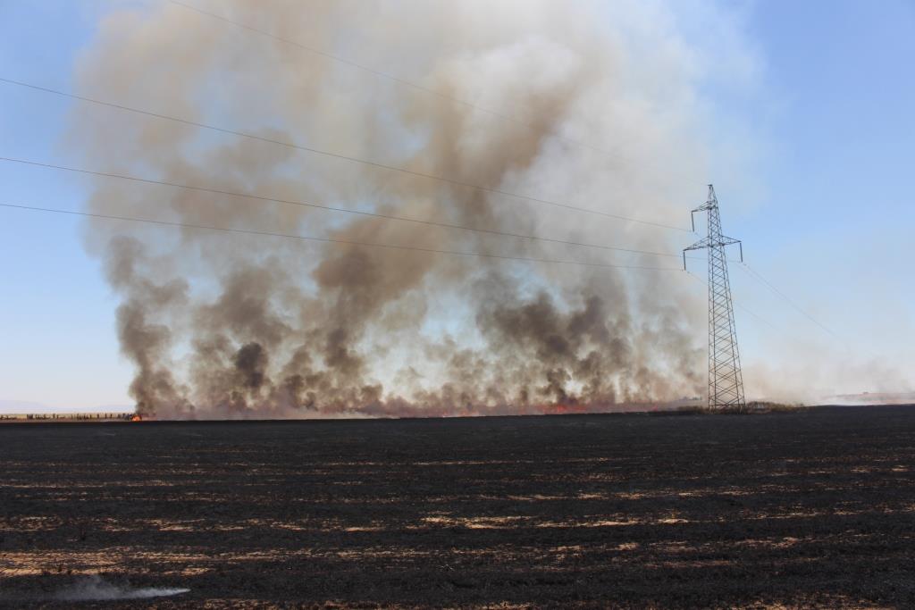 Rojava’da şüpheli ekin yangınlarında 4 bin 175 hektar ekin yandı