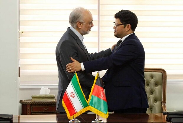 Iran, Afghanistan expand bilateral nuclear cooperation