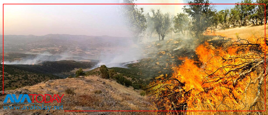 İran rejimi Kürdistan ormanlarının kül olmasını seyrediyor