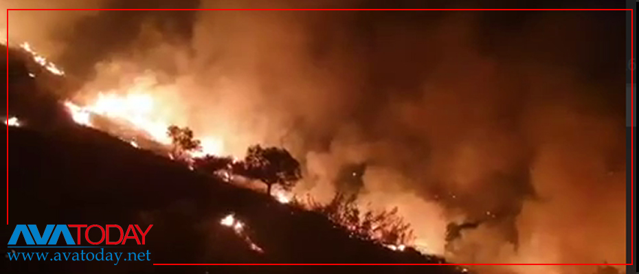 Zagros ormanları yanıyor, İran rejimi sessiz