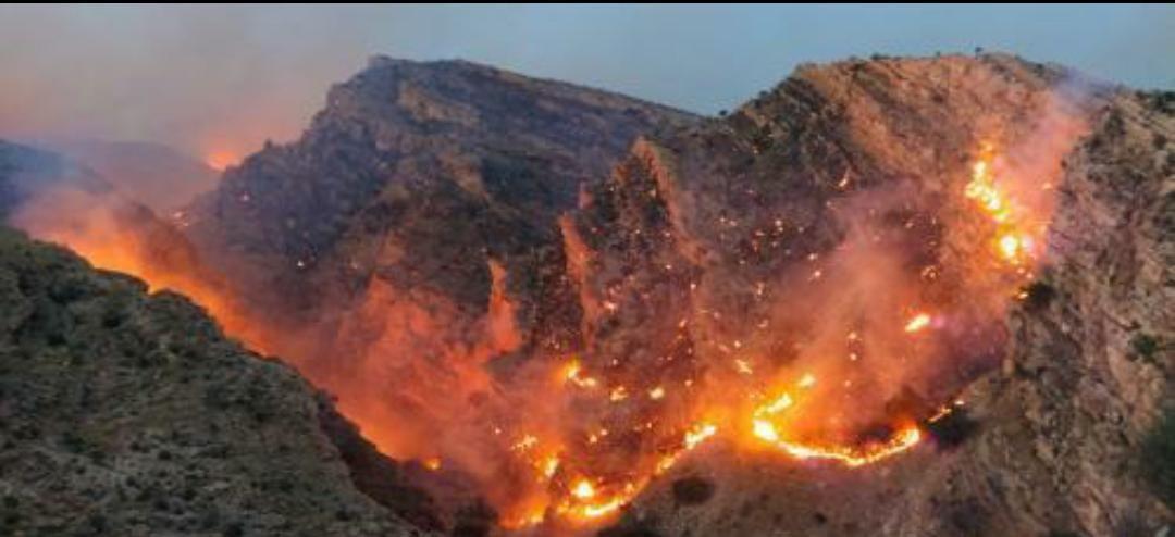 Iran take no action against large wildfires