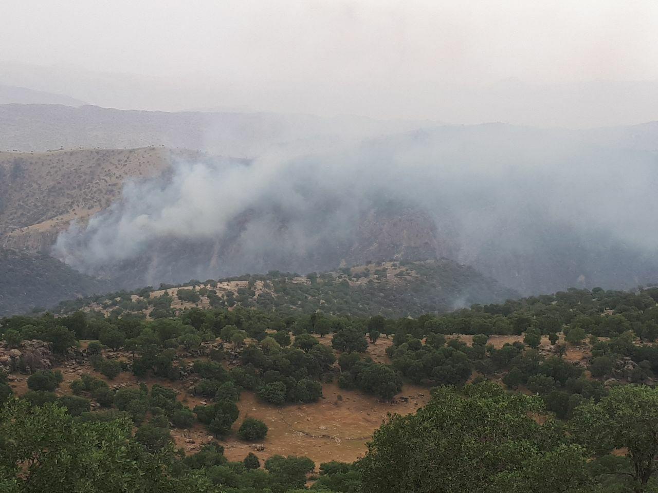 İran rejimi, ormanlarını yakarak Rojhelat’ı boğuyor