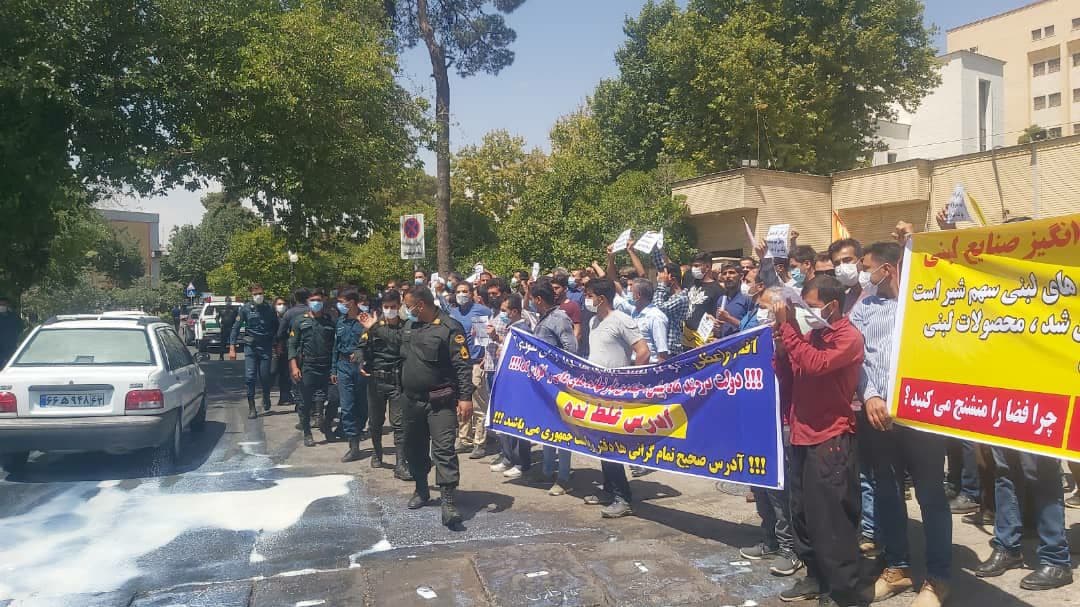 Cattle ranch owners in Iran protest over the high cost of animal feed
