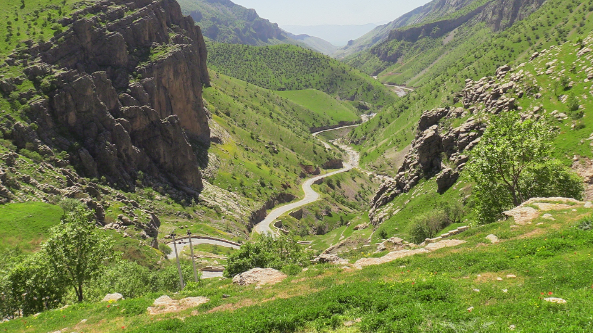شوانێكی تەمەن ٦٩ ساڵ لە قەندیل بە تەقەی سوپای تیرۆریستی پاسداران بریندار کرا