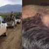 Afrin’de ÖSO tarafından işkenceye maruz kalan Kürt vatandaş hayatını kaybetti