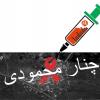 ئاڤاتودەى ـ تایبەت: کۆمارى ئیسلامى بڵاوبوونەوەى ئایدزەکەى چنارمەحموود سانسۆڕ دەکات