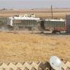 Türk haydutçuluğu, Rojava Kürdünün alın terini çalıyor