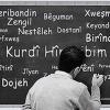 Kürtçe’nin sosyal hayatta kullanılma oranı %37,6