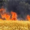 ئاگرلێکەوتنەوەی ٦٥ هێکتار لە زەوییە کشتوکاڵییەکانی شاباد و داڵاهو