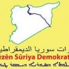 DSG: 17 savaşçımız şehit oldu 