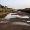نهر دجلة