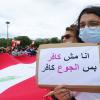 الجالية اللبنانية تتظاهر ضد حكوماتهم
