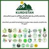 دارستان کوردستان