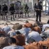 At least 24 executed in various Iranian prisons