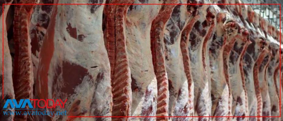 Guards to escort red meat in Iran due to shortage, said official