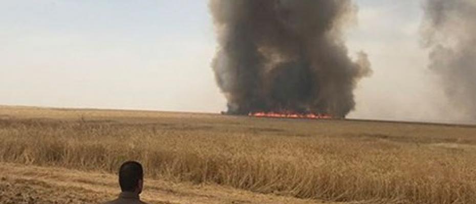 Kerkük’te Kürtlerin ekinleri yakılıyor