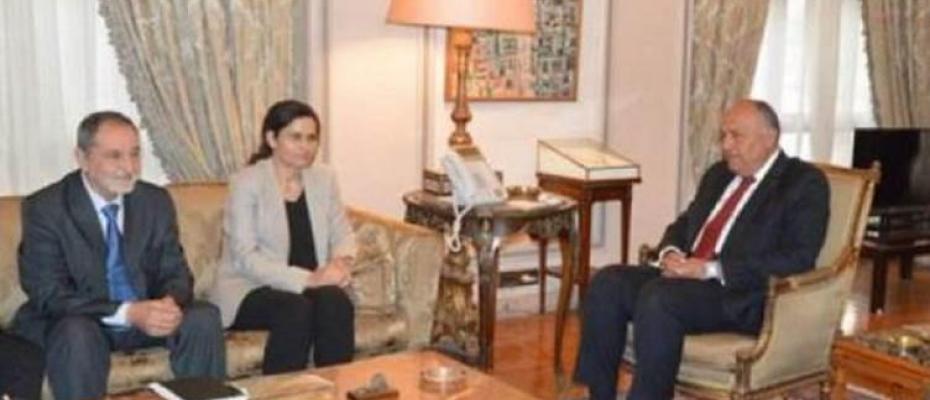 İlham Ahmed’le görüşen Mısır Dışişleri Bakanı Şukri: Türk devleti tehlikeli ve yayılmacı