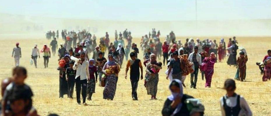 BM, Kürt Ezdilerin soykırıma uğramalarıyla ilgili yeni belgelere ulaştı