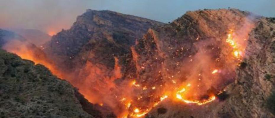 Iran take no action against large wildfires