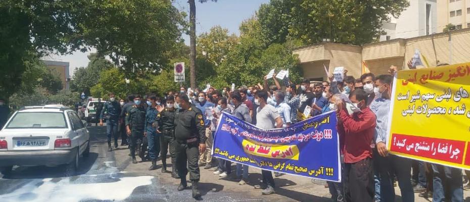 Cattle ranch owners in Iran protest over the high cost of animal feed