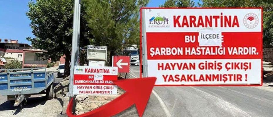 Eruh’ta şarbon görüldü, ilçeye hayvan giriş çıkışları yasaklandı