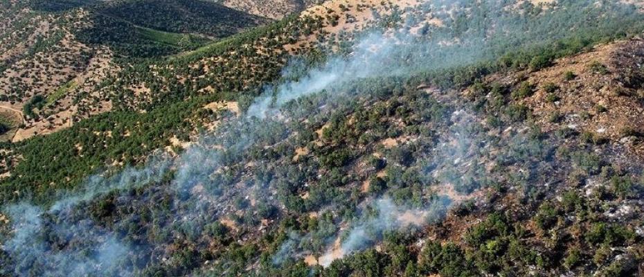 227 Wildfires Recorded in the Forests of Mariwan in Just Six Months
