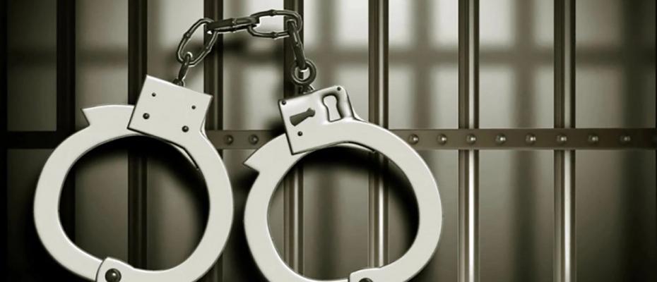 پدر و برادر چیاکو یوسفی‌نژاد، فعال زیست‌محیطی جانباخته بازداشت شدند
