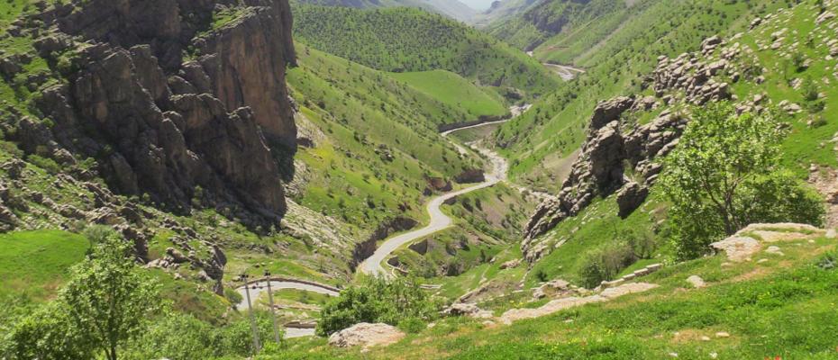 شوانێكی تەمەن ٦٩ ساڵ لە قەندیل بە تەقەی سوپای تیرۆریستی پاسداران بریندار کرا